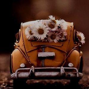 Meet your Posher, Jayleen